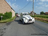 Zandlemig Vlaanderen